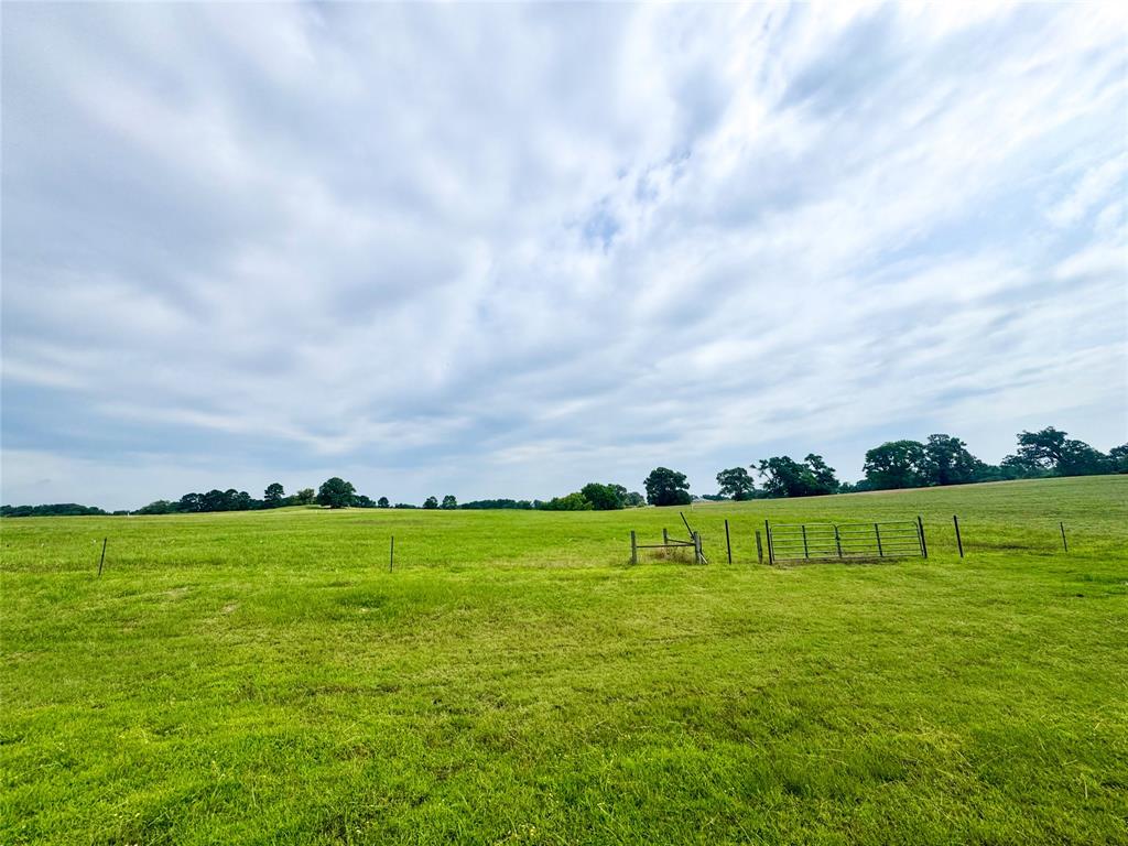 Lot 62 Cr 2320 Property Photo 6
