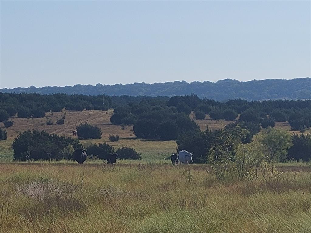 Tbd Private Road 16021 Property Photo 3