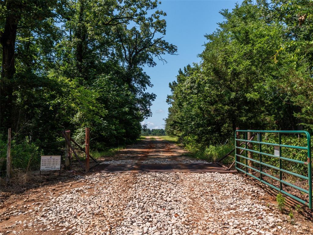 15.698 Acres Cr 2138 Property Photo 2