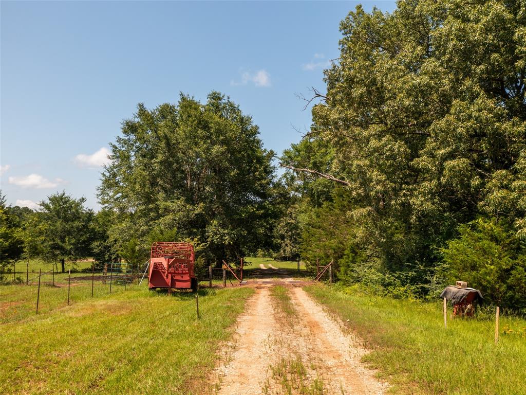 15.698 Acres Cr 2138 Property Photo 3