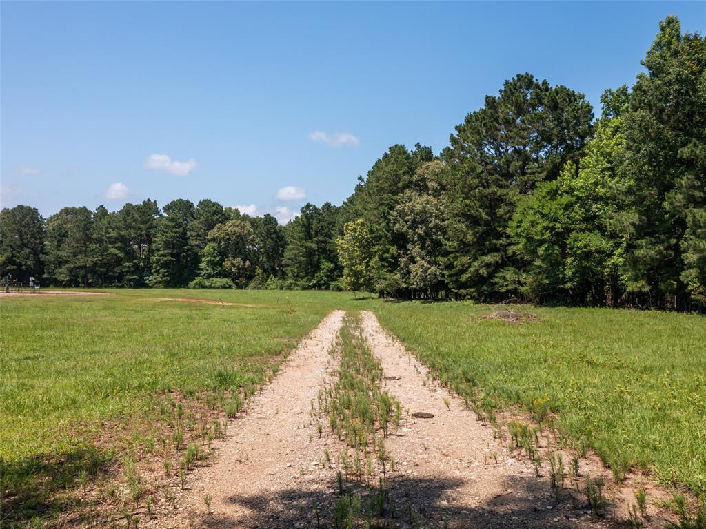 15.698 Acres Cr 2138 Property Photo 4