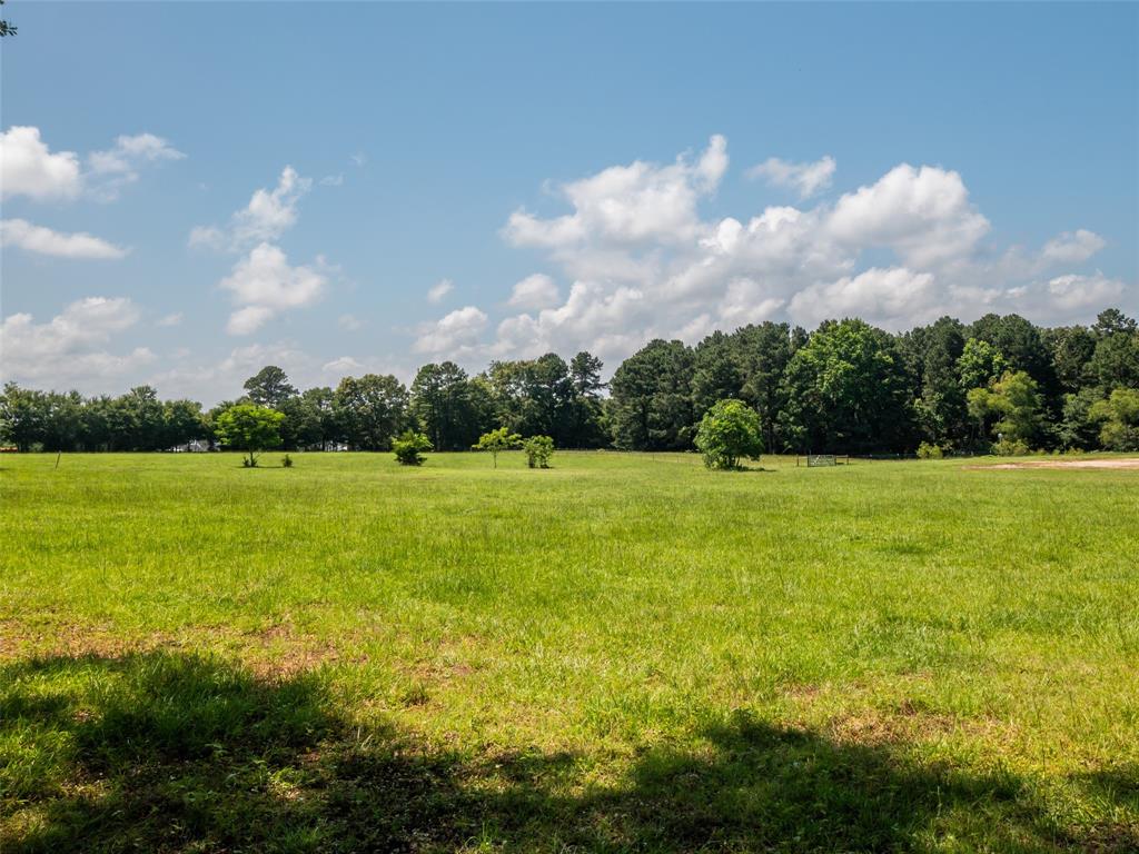 15.698 Acres Cr 2138 Property Photo 5