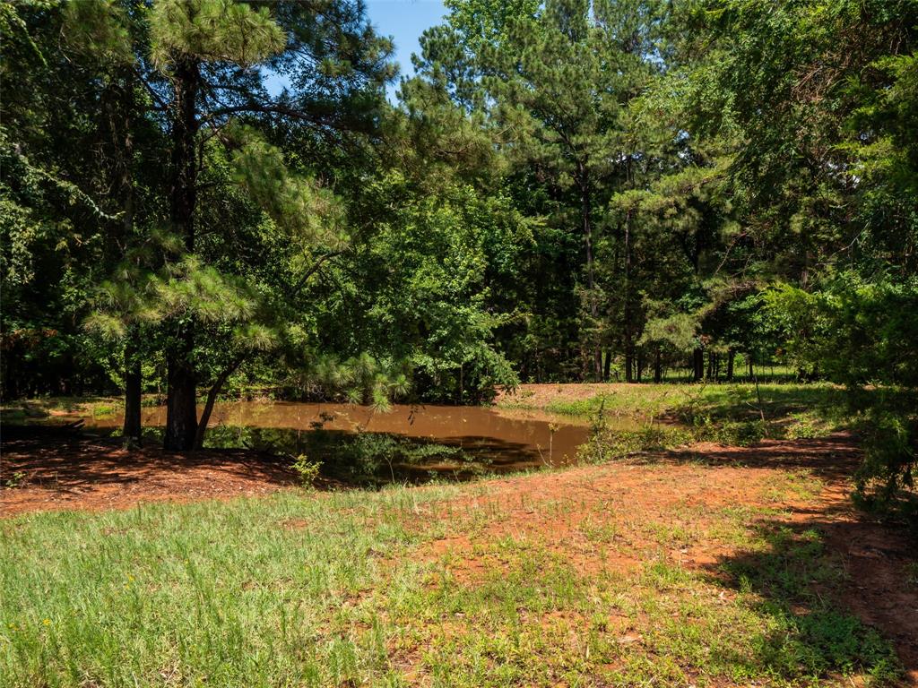 15.698 Acres Cr 2138 Property Photo 6