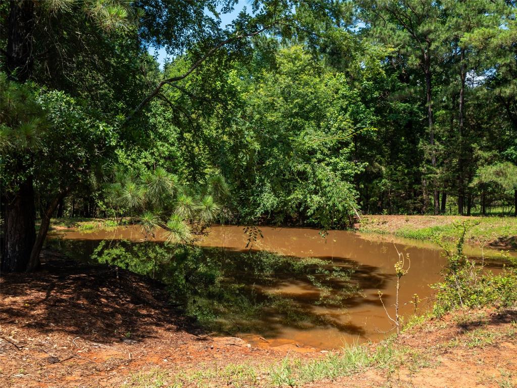 15.698 Acres Cr 2138 Property Photo 7