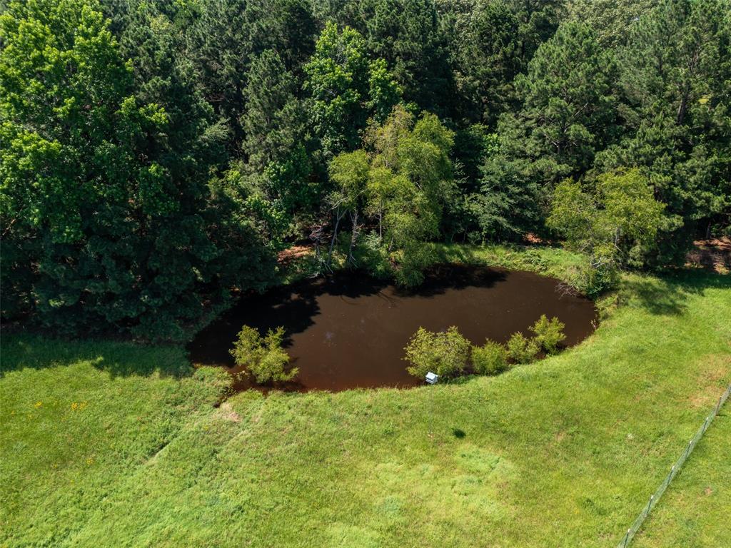 15.698 Acres Cr 2138 Property Photo 9