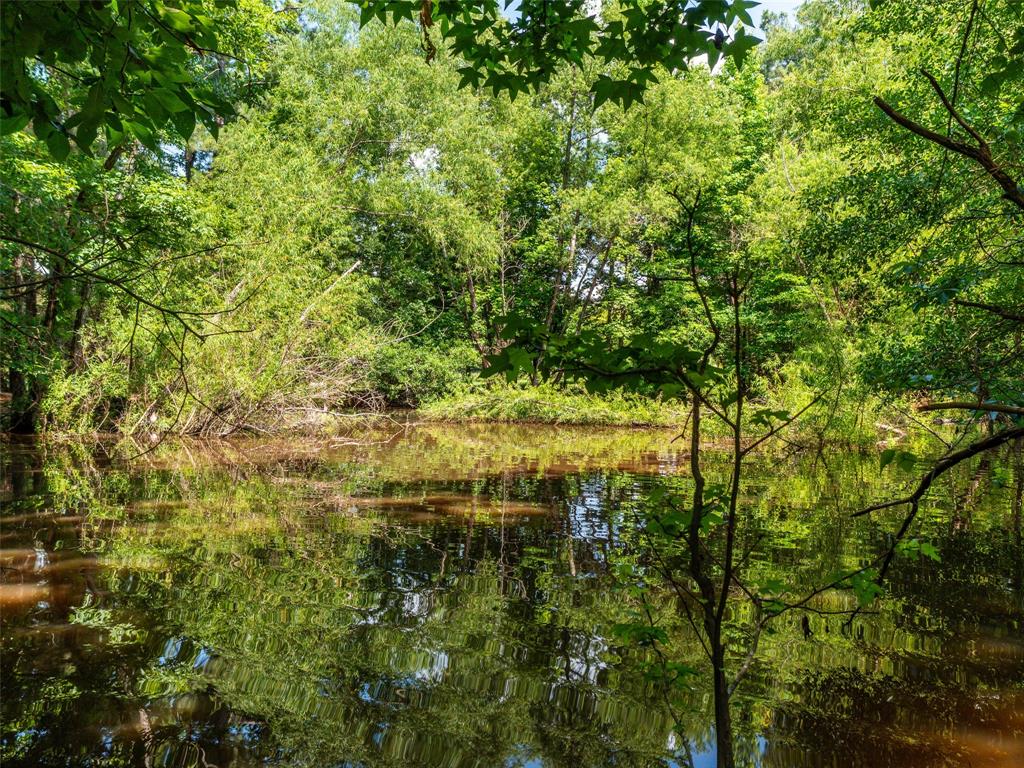 15.698 Acres Cr 2138 Property Photo 10