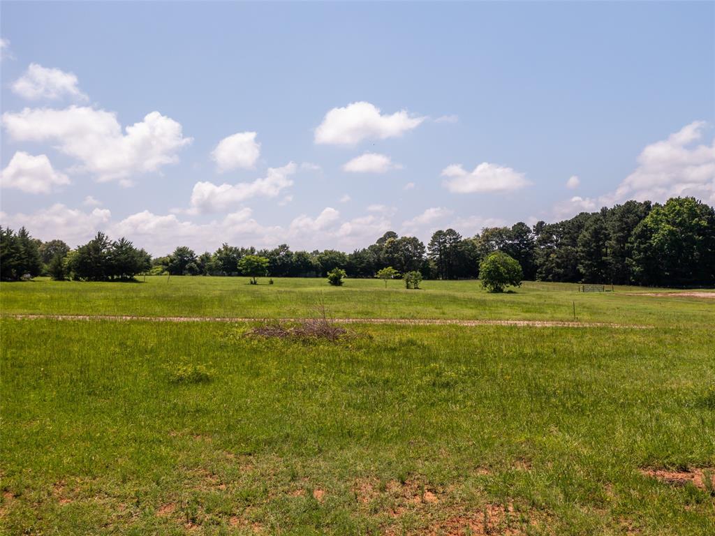 15.698 Acres Cr 2138 Property Photo 12