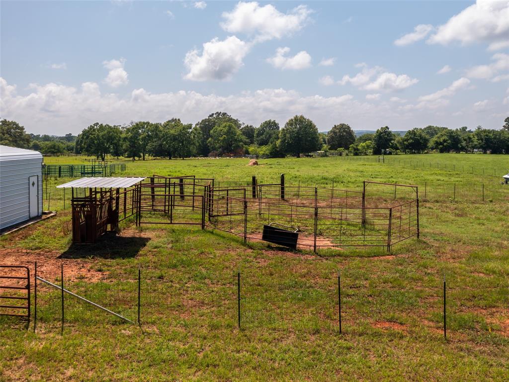 15.698 Acres Cr 2138 Property Photo 15