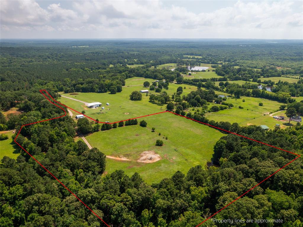 15.698 Acres Cr 2138 Property Photo 19