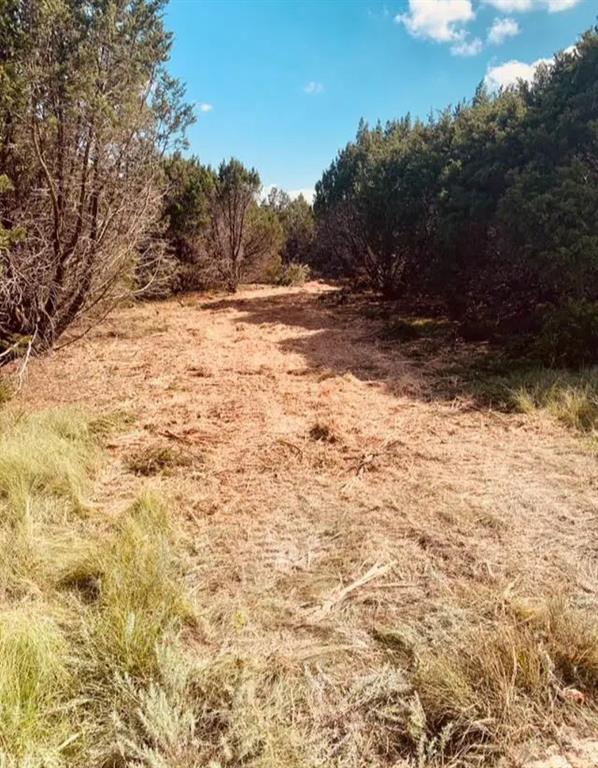 1301 Private Road 2120 Property Photo 10