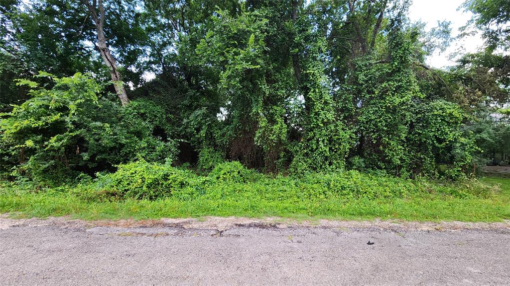 327 Capricorn Drive Property Photo 3