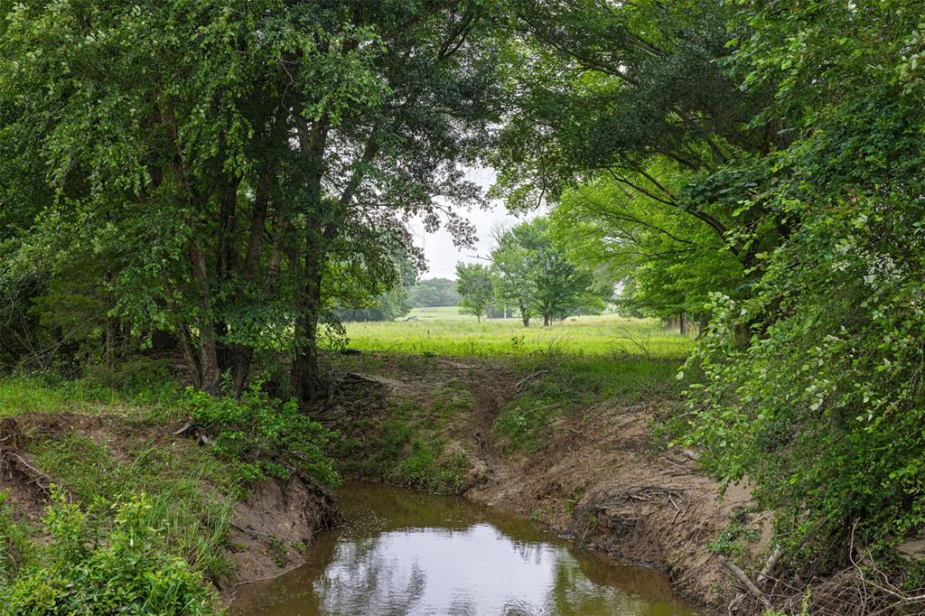 11610 Fm 773 Property Photo 14