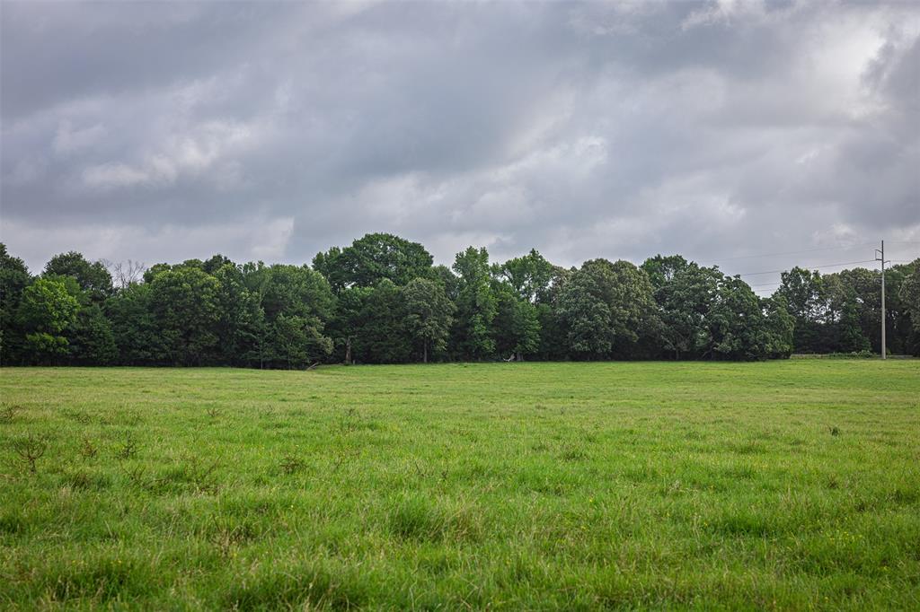 11610 Fm 773 Property Photo 22