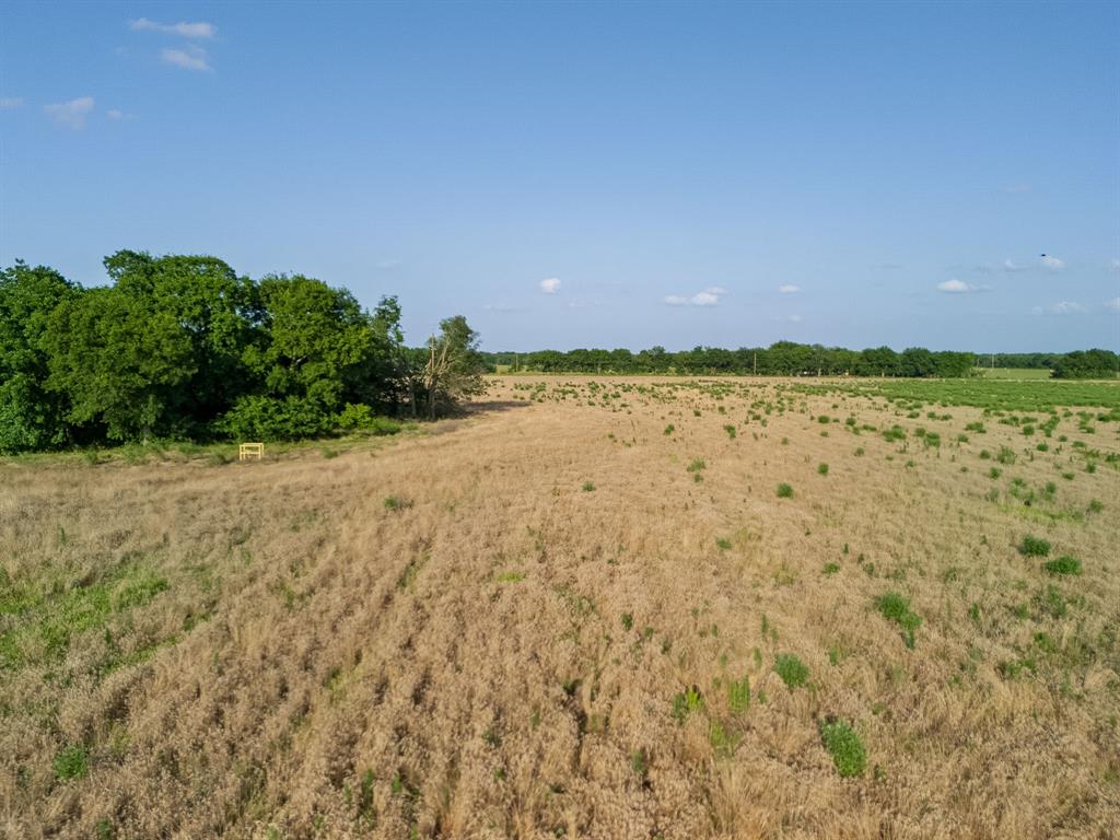 Lot 4 County Road 4609 Property Photo 39