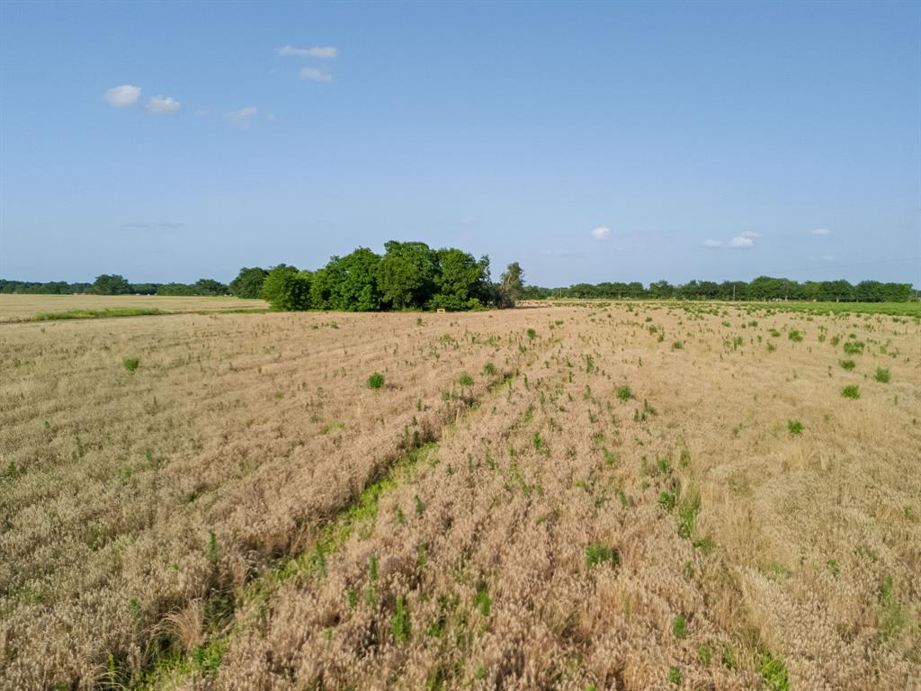 Lot 4 County Road 4609 Property Photo 40
