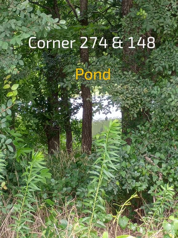 24901 S Fm 148 Property Photo 22