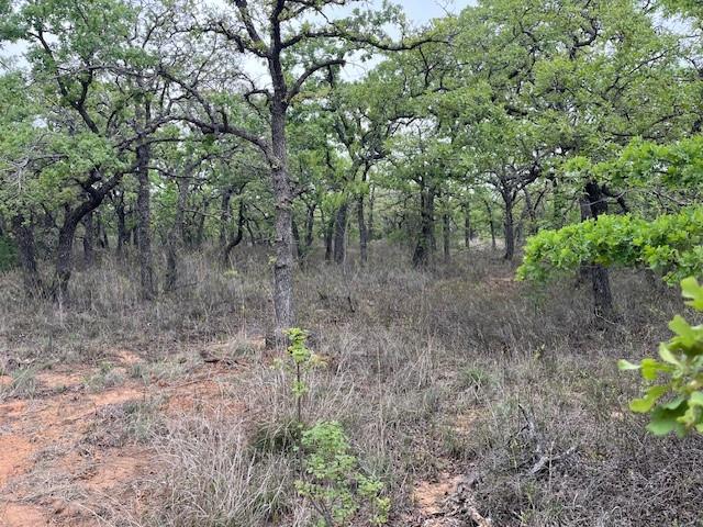 35 Ac Two Bush Rd Property Photo 3