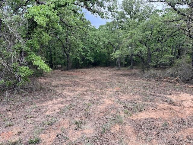 35 Ac Two Bush Rd Property Photo 4