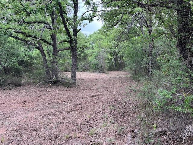 35 Ac Two Bush Rd Property Photo 5
