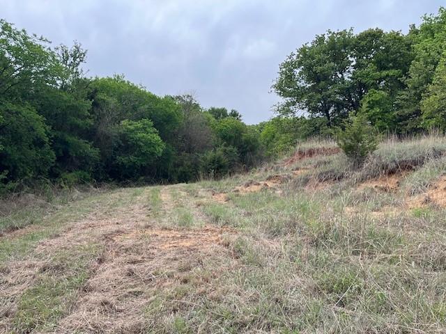 35 Ac Two Bush Rd Property Photo 6