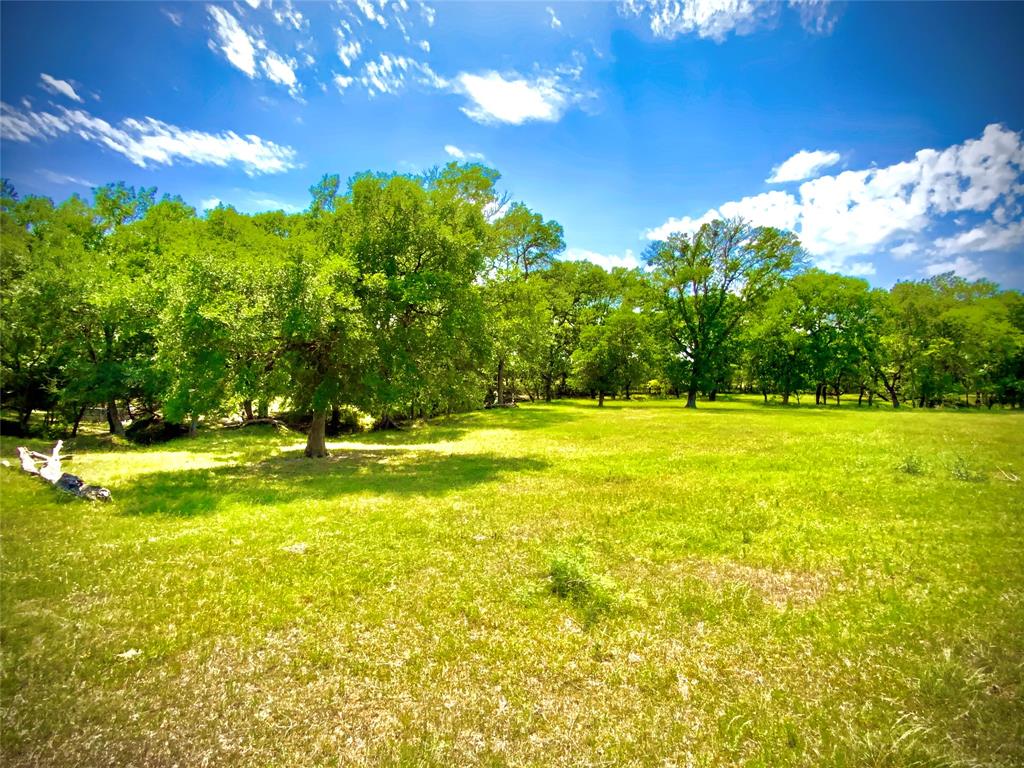 Tbd- Tract 1 Fm 147 Property Photo 3