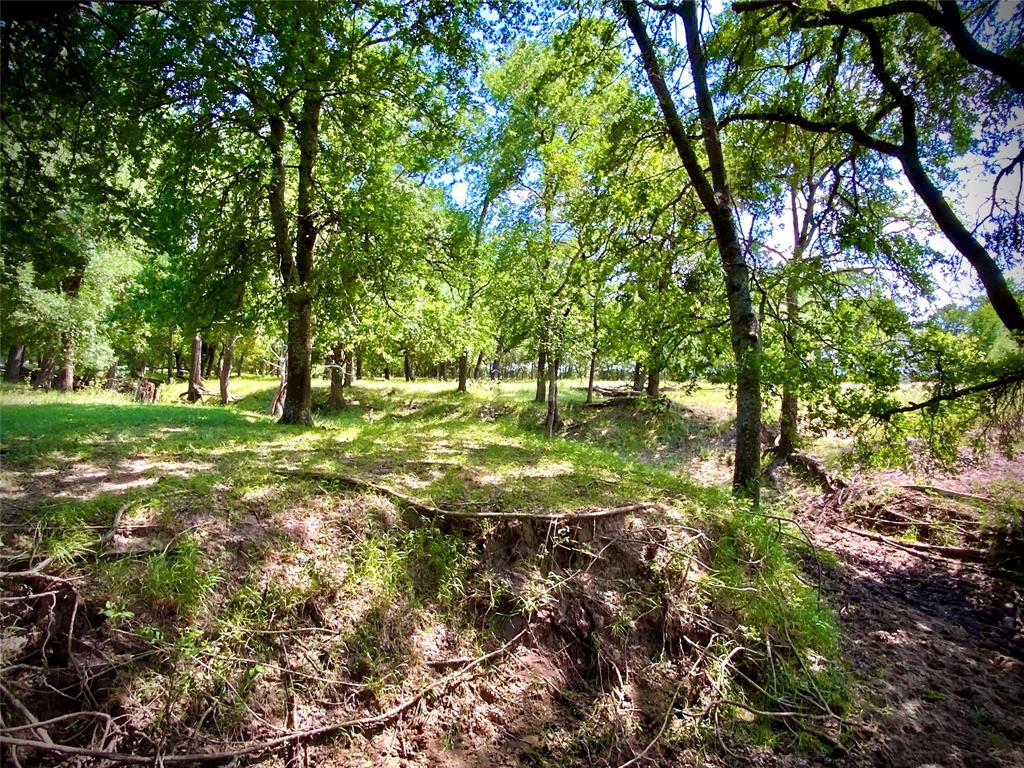 Tbd- Tract 1 Fm 147 Property Photo 14