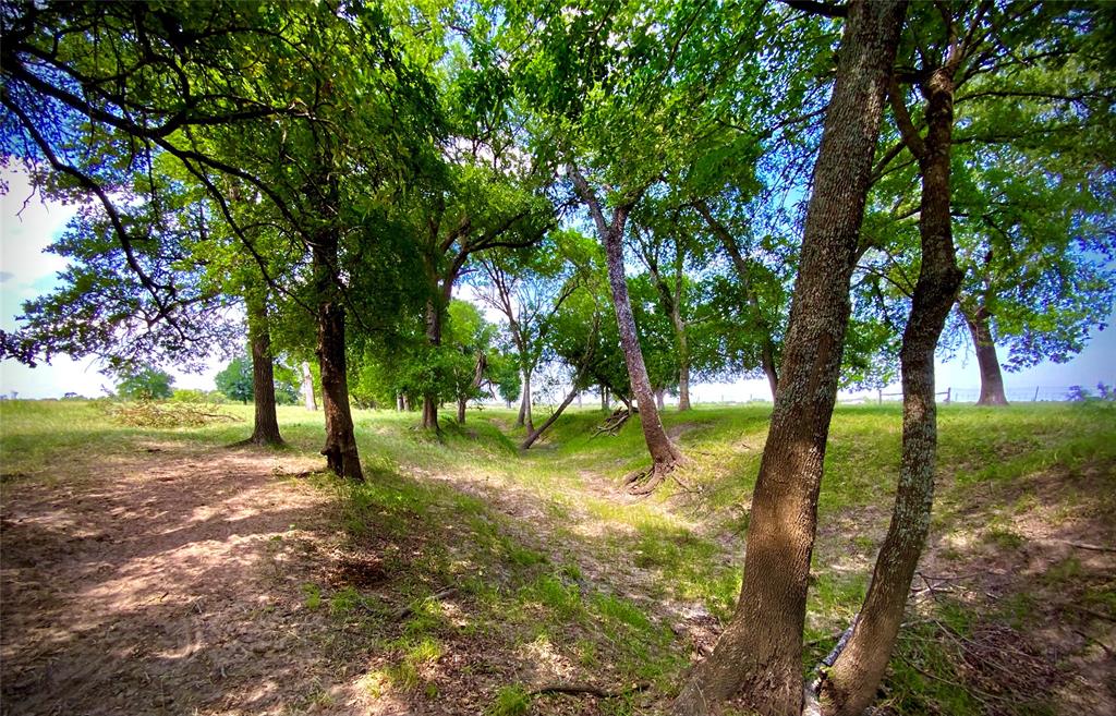Tbd- Tract 1 Fm 147 Property Photo 15