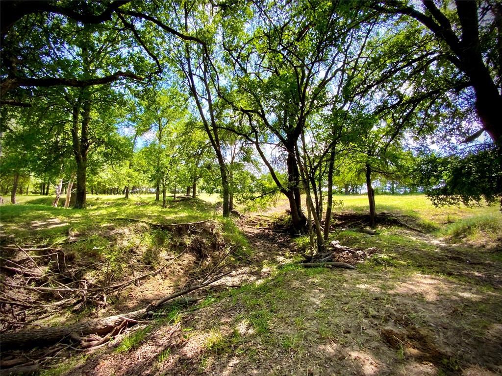 Tbd- Tract 1 Fm 147 Property Photo 16