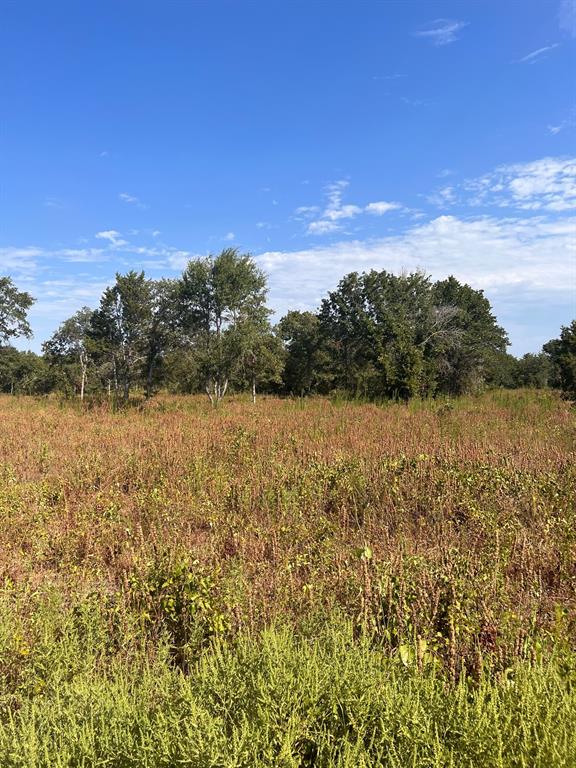 156 Doe Property Photo 1