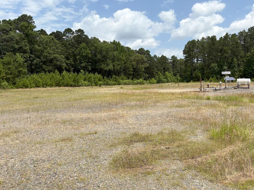 Tbd County Road 425 Property Photo 5