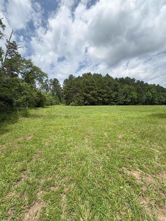 Tbd County Road 425 Property Photo 9