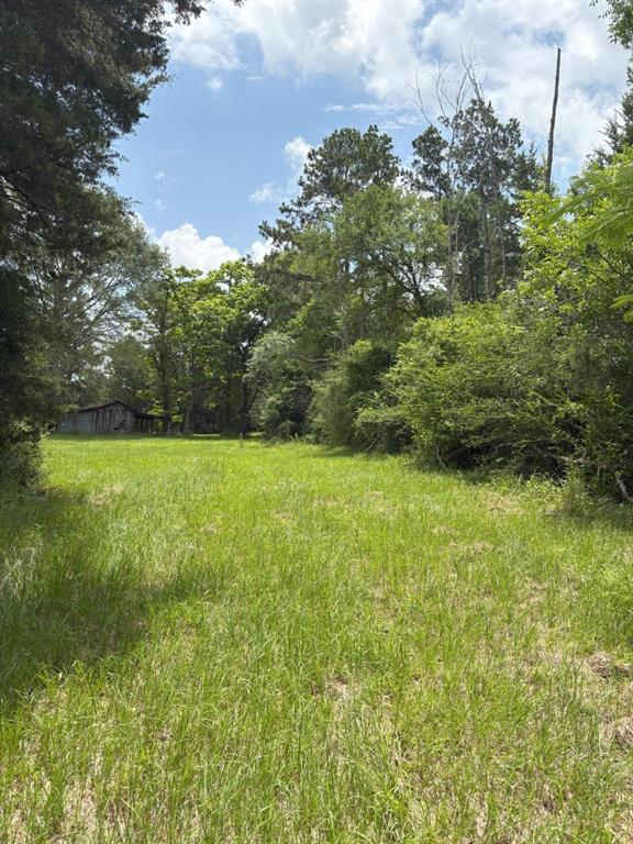 Tbd County Road 425 Property Photo 12