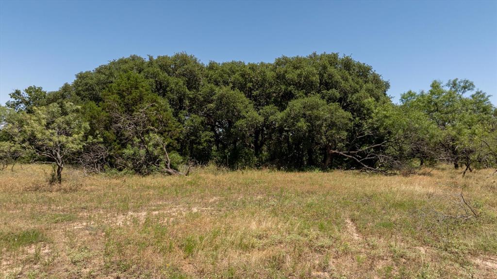 Tbd Cr 386 Property Photo 3