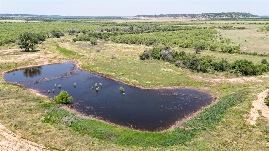 Tbd County Rd 196 Property Photo 3