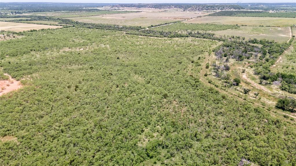Tbd County Rd 196 Property Photo 11