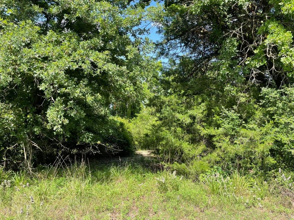 Tbd 794 Property Photo 1