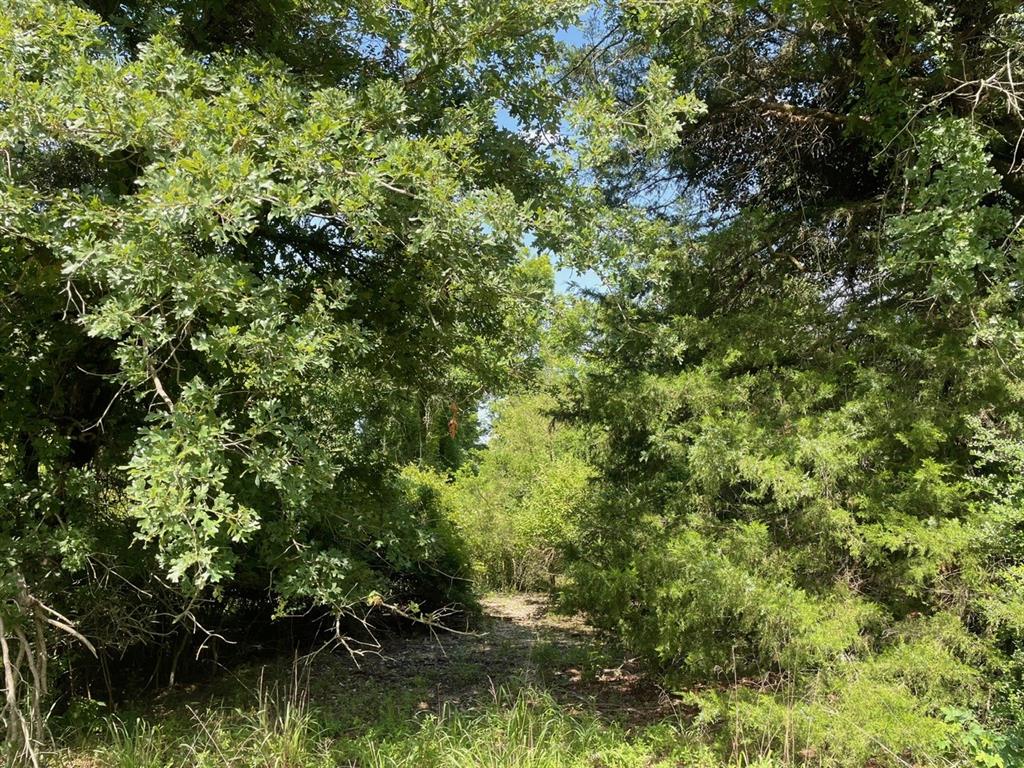 Tbd Lcr 794 Property Photo 1