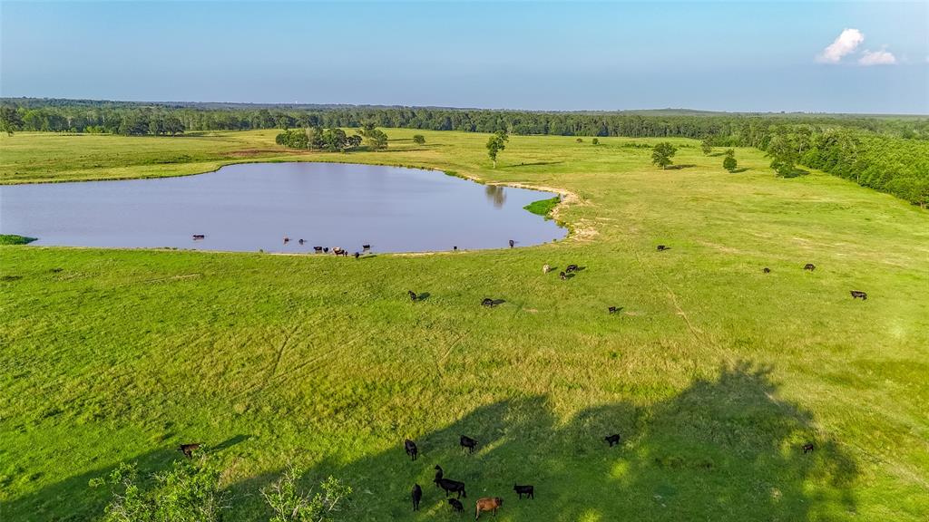 9759 Texas Highway 155 Property Photo 1