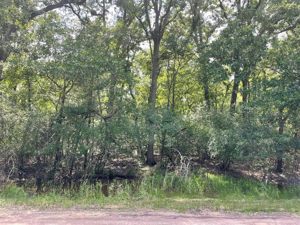 Tbd County Road 750 Property Photo 1