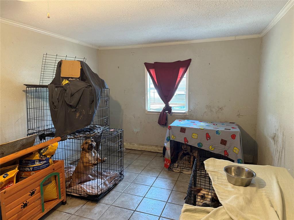 824 Cleardale Drive Property Photo 5