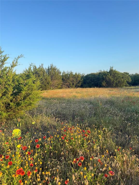 Tbd Pecan Shell Road Property Photo 1