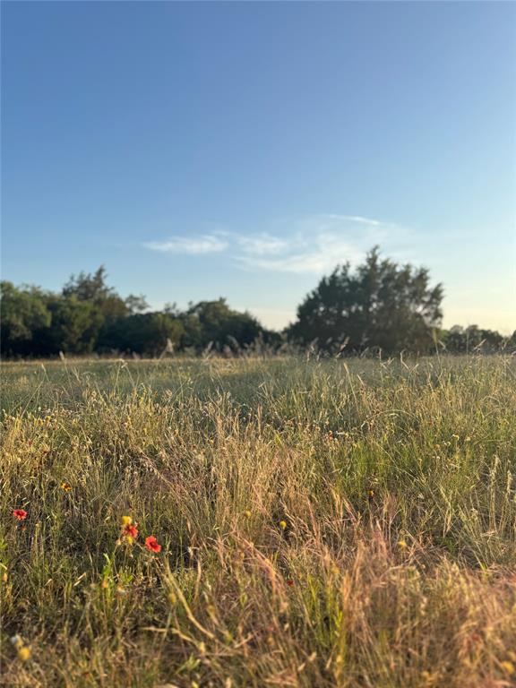 Tbd Pecan Shell Road Property Photo 2