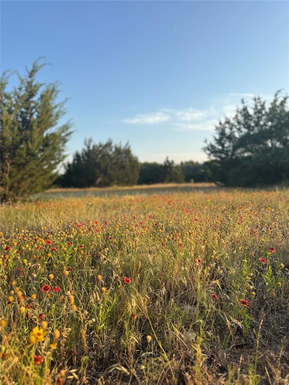 Tbd Pecan Shell Road Property Photo 4