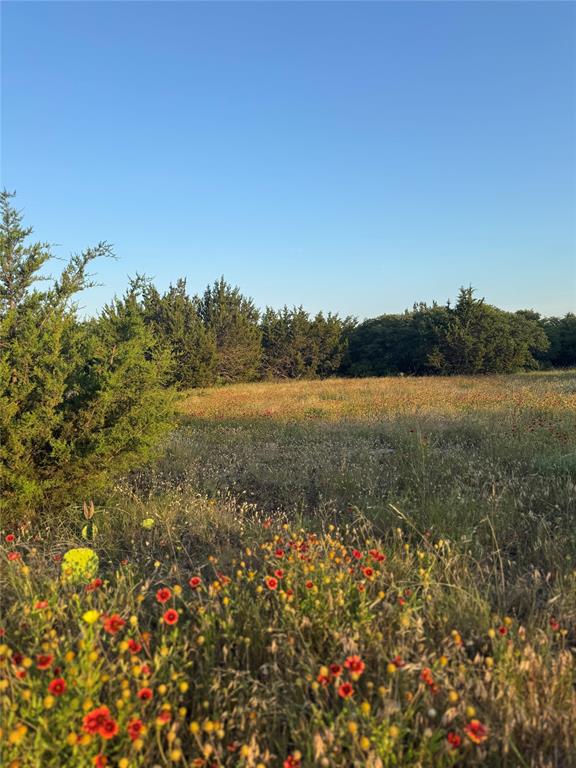 Tbd Pecan Shell Road Property Photo 6