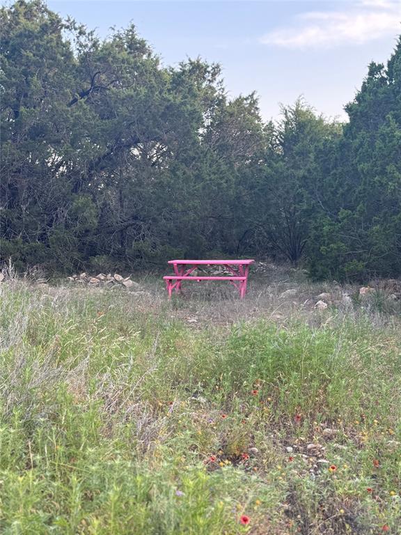 Tbd Pecan Shell Road Property Photo 7
