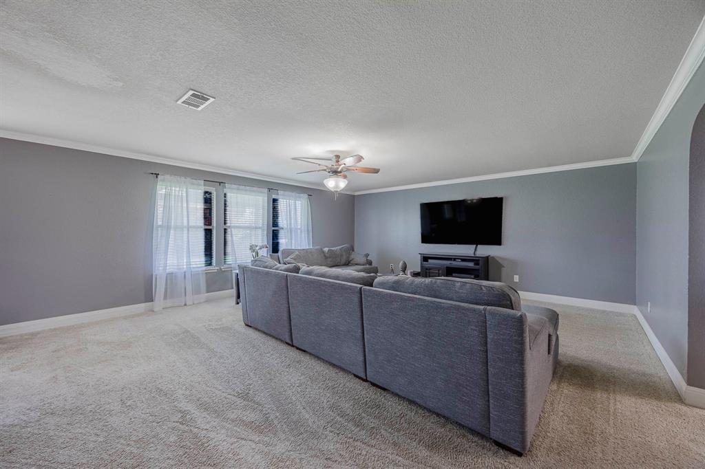 3428 Baby Doe Court Property Photo 6