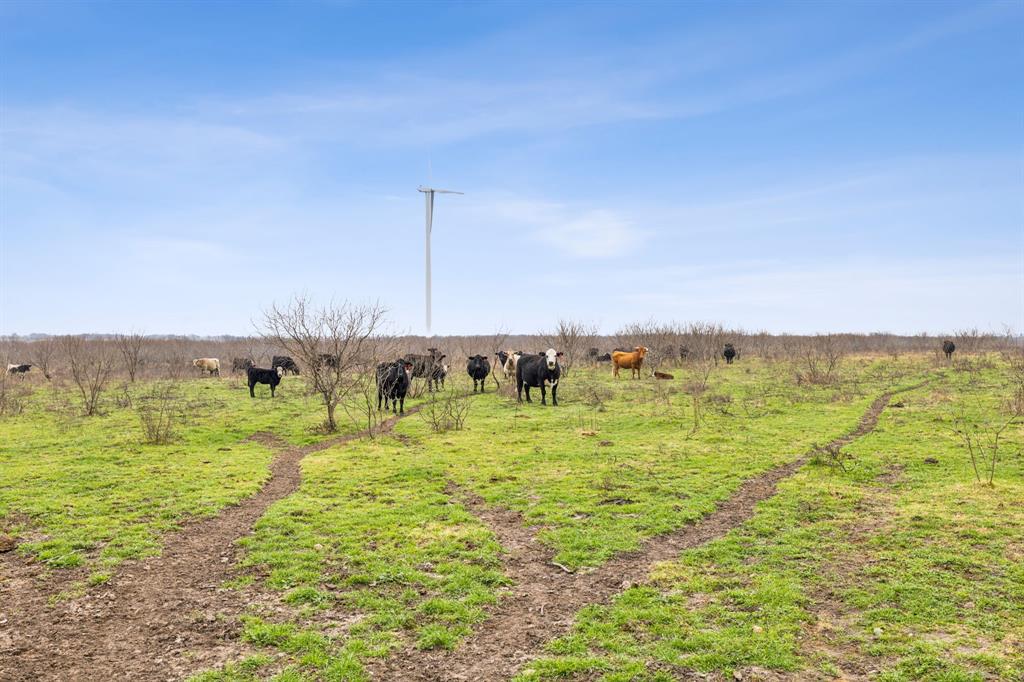 6555 Fm 638 Property Photo 1