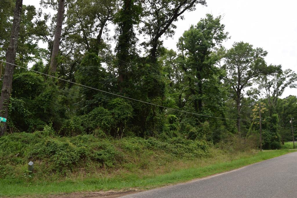 #1 Palmetto Drive Property Photo 1