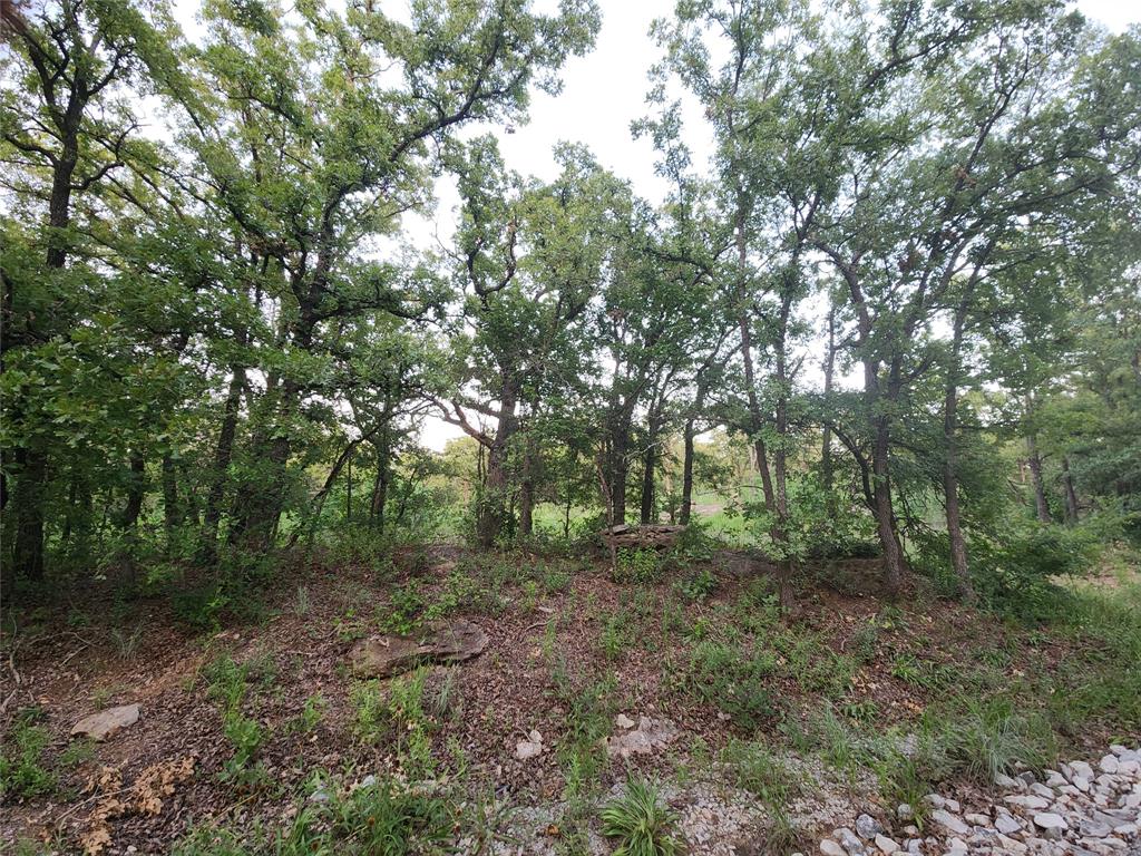 491 County Road 1770