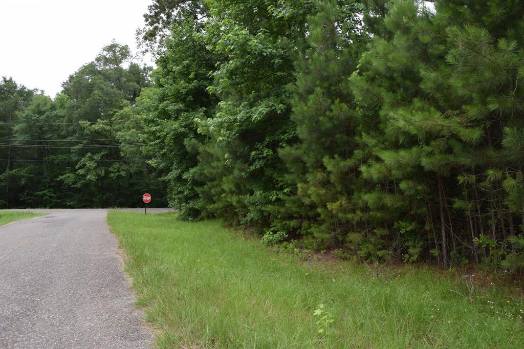 208 Palmetto Drive Property Photo 1
